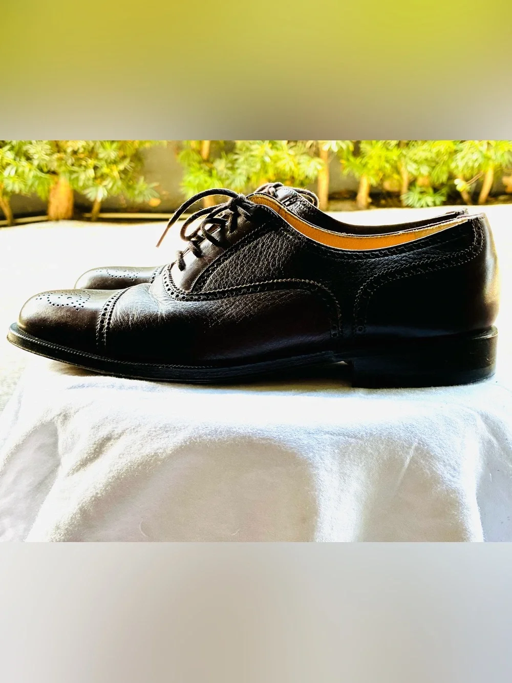 Bruno Magli Men's Charles Oxblood Oxfords, Size 8